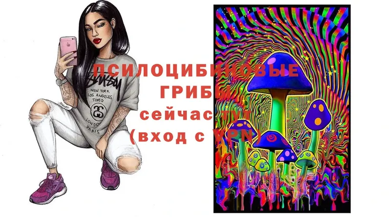 Псилоцибиновые грибы Cubensis Бугульма