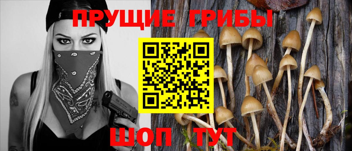 Бугульма  Псилоцибиновые грибы Magic Shrooms  Галлюциногенные грибы MAGIC MUSHROOMS  где продают   Вход с VPN 