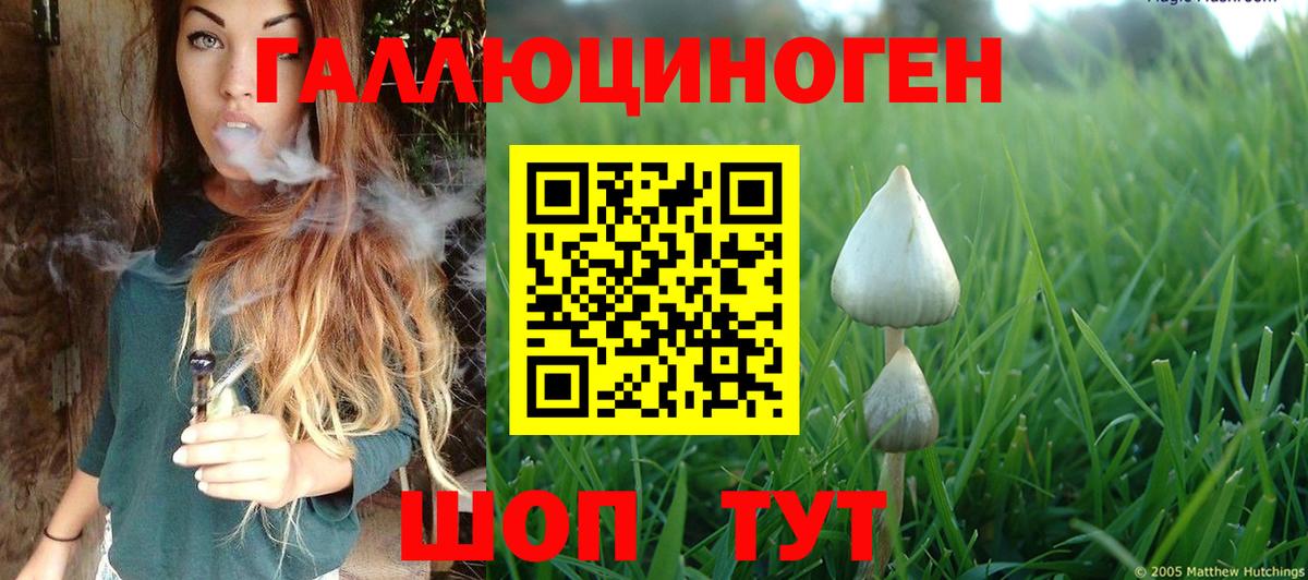 Галлюциногенные грибы мицелий Бугульма