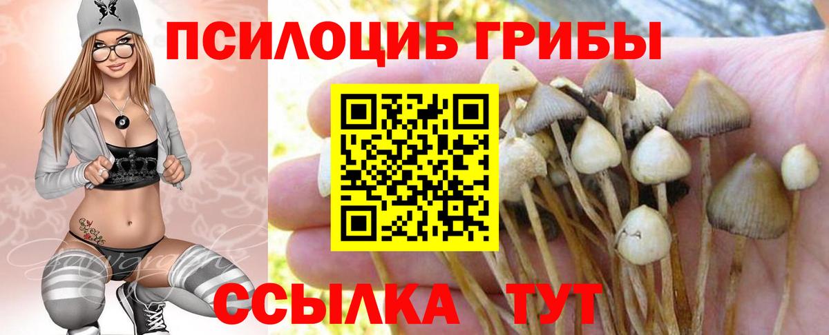 Меф Бугульма