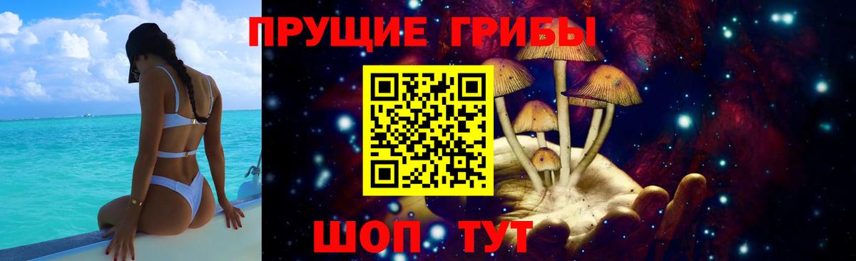 Галлюциногенные грибы прущие грибы Бугульма