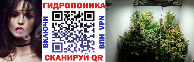 Бошки марихуана планчик  МЕГА как зайти  Бугульма 